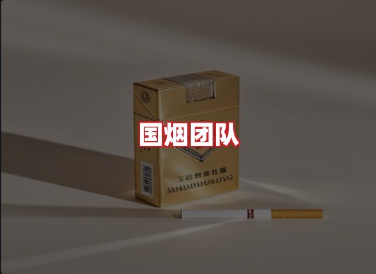 国烟团队